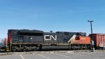 CN 8004
